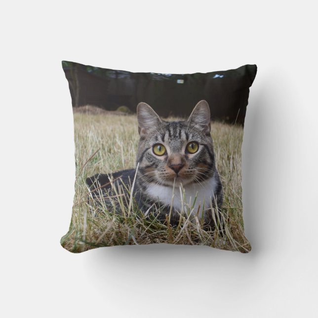 Skooter Pillow (Front)