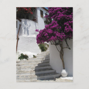 Skopelos, Greece Postcard