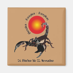 Skorpion 24. Oktober bis 22. November Magnet