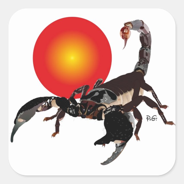 Skorpion Aufkleber Square Sticker (Front)