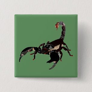 Skorpion Buttons