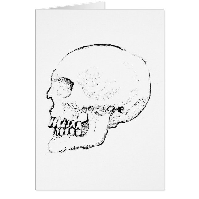 Skull (Front)