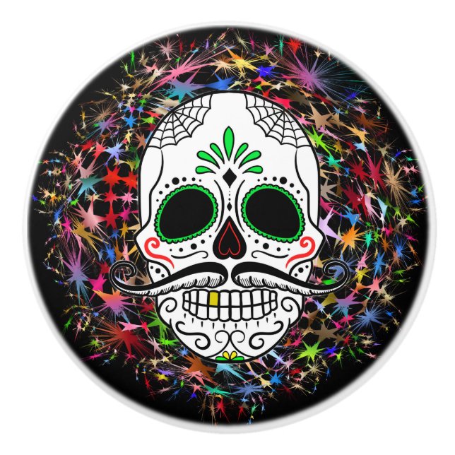 Skull20170396 Ceramic Knob (Front)