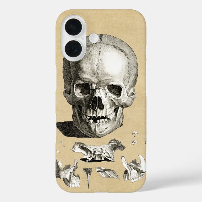 Skull and Bones Anatomy Case-Mate iPhone Case (Back)