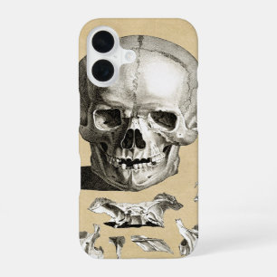 Skull and Bones Anatomy iPhone 16 Case