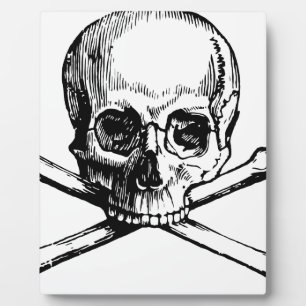 Skull and Bones Plaque
