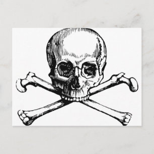 Skull and Bones Postcard