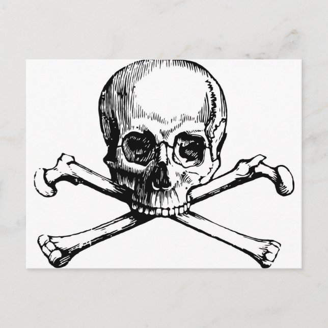 Skull and Bones Postcard (Front)