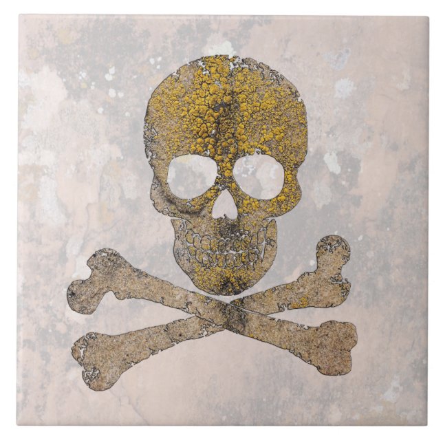 Skull and Bones Talking Canyons, New Mexico Tile (Front)