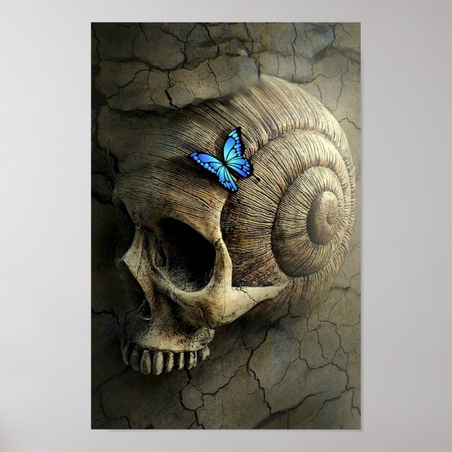 Skull and Butterfly Poster (Front)