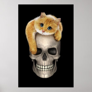 Skull and Cat Poster