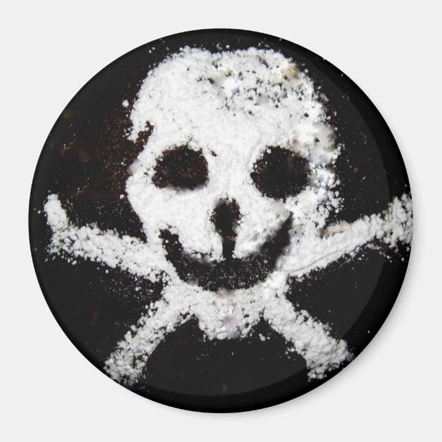 Skull and Crossbones Magnet (Front)