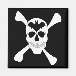 Skull And Crossbones Magnet