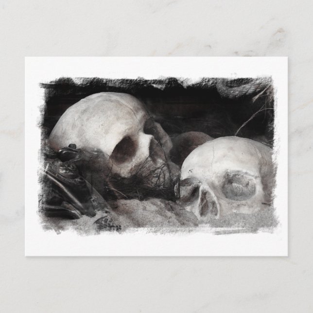 Skull Buddies Postcard (Front)