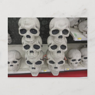 Skull Collection Postcard