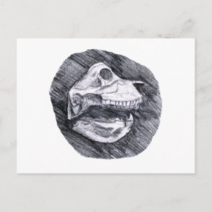 Skull drawing imaginary animal sketch postcard