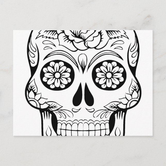 Skull drawing with black ink in white background postcard (Front)