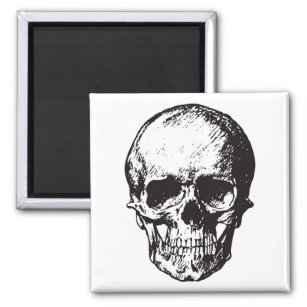 Skull Fantasy Art Rock Punk Heavy Metal Magnet
