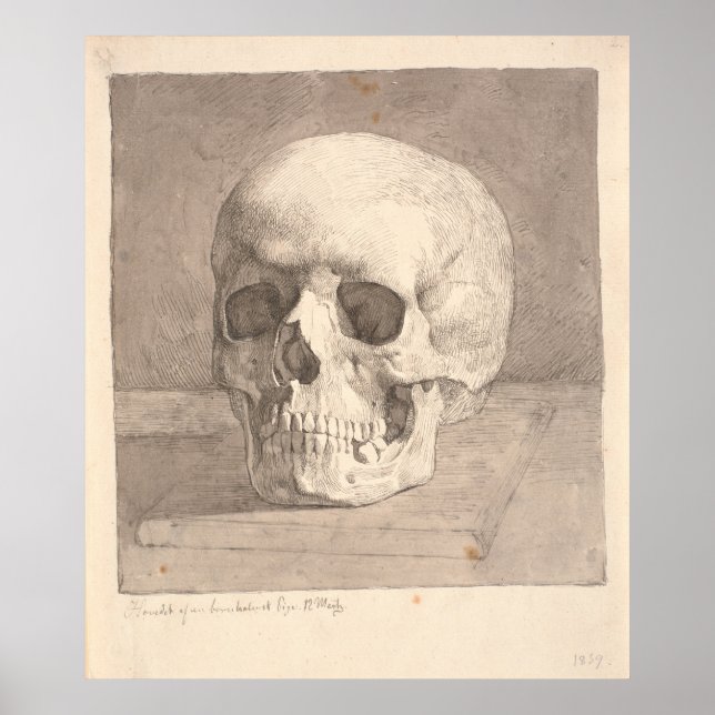 Skull, Front View Poster (Front)