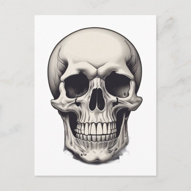 Skull Illustration Postcard (Front)