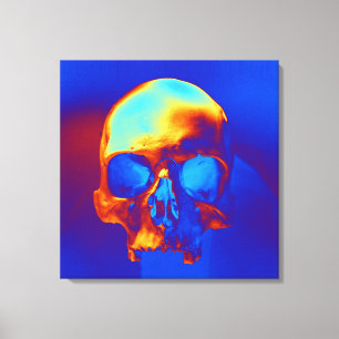 Skull in Blue and Gold Canvas Print