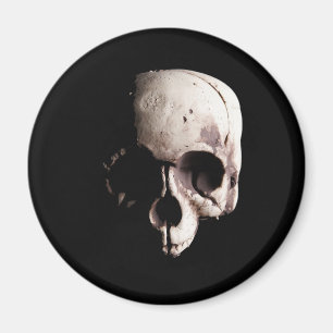 Skull Magnet