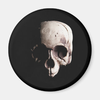 Skull Magnet