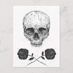 Skull N' Roses Postcard