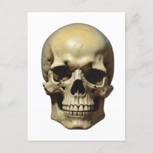 Skull Oil Painting Style Painting Illustration Postcard