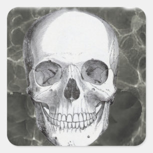 Skull on black square sticker