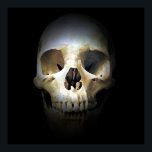 Skull Pop Art Print Poster - Skulls Posters Prints<br><div class="desc">Fantasy Art Skull Skeleton - Heavy Metal Punk Rock College Pop Art Image</div>