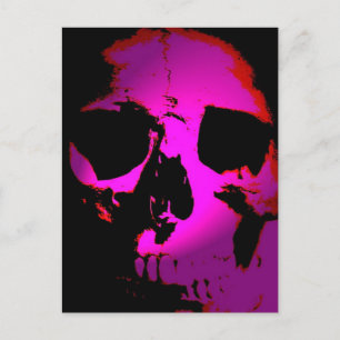 Skull Postcard