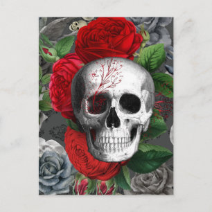 Skull Postcard
