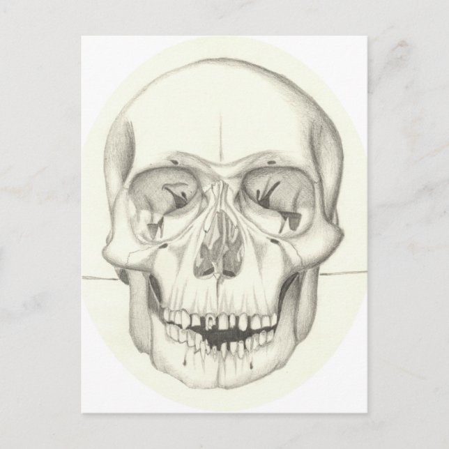 Skull postcard (Front)