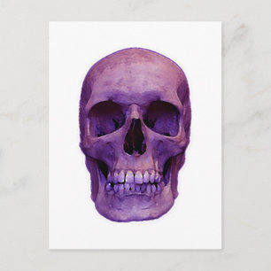 Skull Postcard