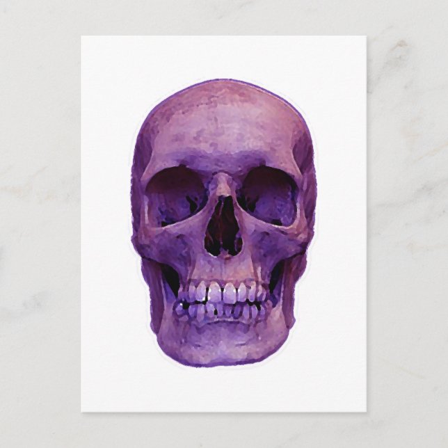 Skull Postcard (Front)