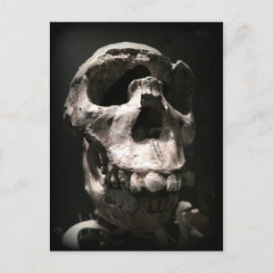 skull postcard