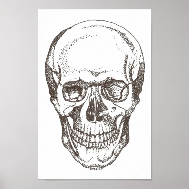 skull poster (Front)