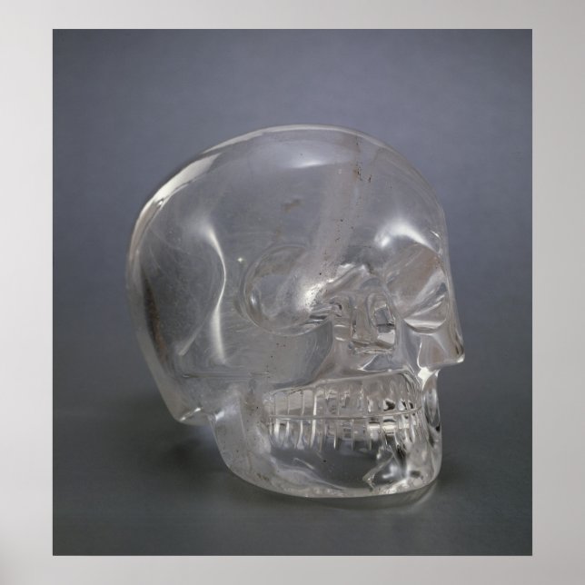 Skull Poster (Front)