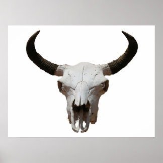 Skull Poster