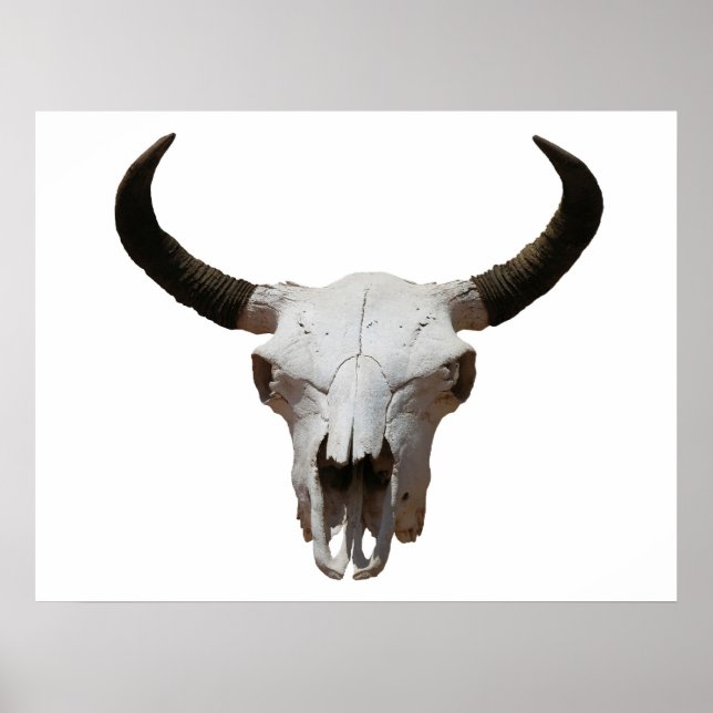 Skull Poster (Front)