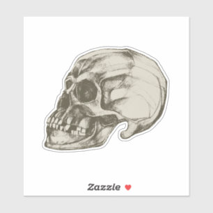 Skull Session for Halloween