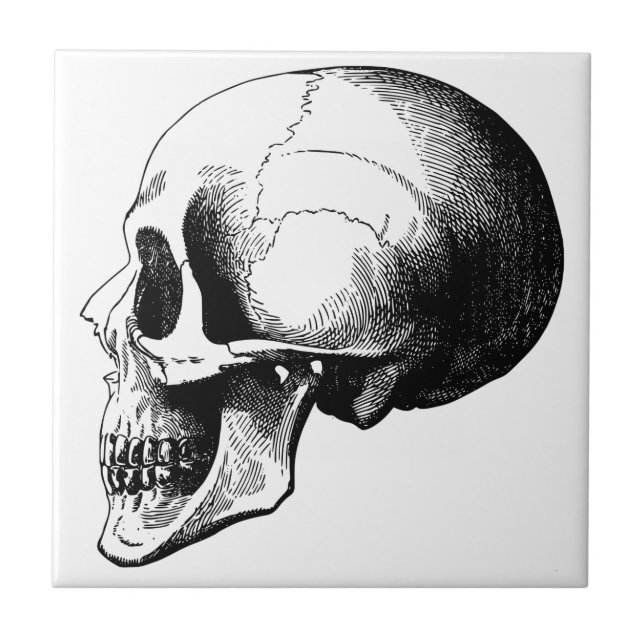 Skull Small (4.25" x 4.25") Ceramic Photo Tile (Front)