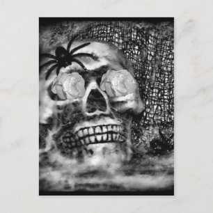 Skull-Spider and Rose-2012 Postcard