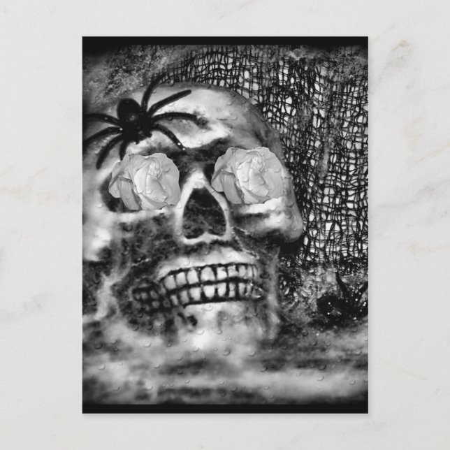 Skull-Spider and Rose-2012 Postcard (Front)