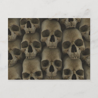 Skull Wall Postcard
