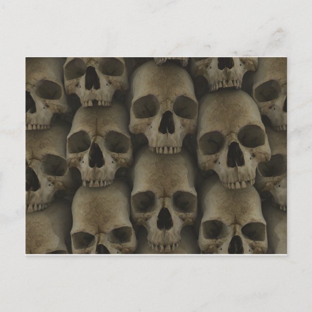 Skull Wall Postcard (Front)