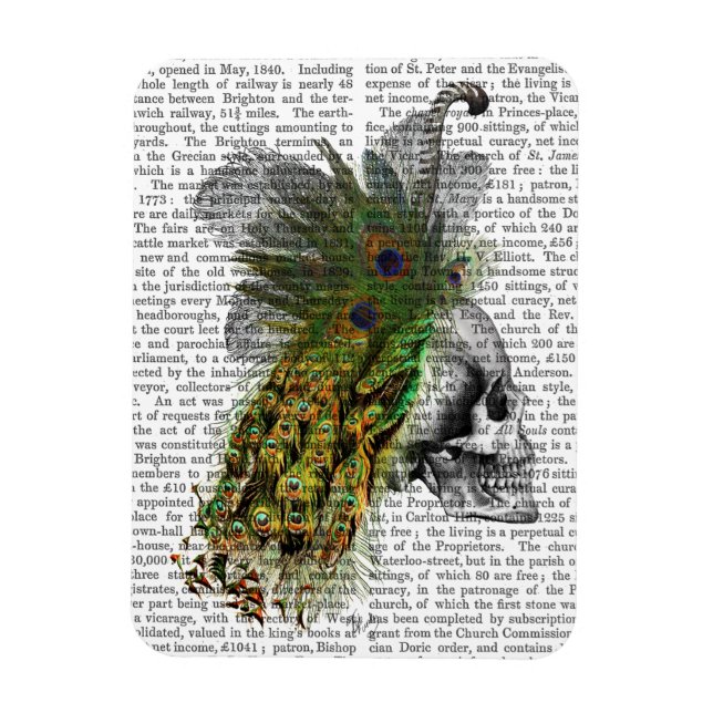 Skull With Feather Headress Magnet (Vertical)