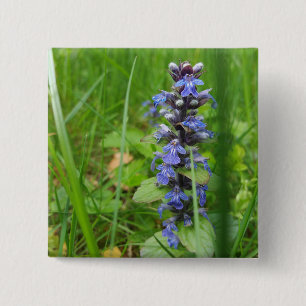 Skullcap Violet Wild Flower 15 Cm Square Badge
