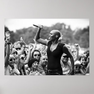 Skunk Anansie at V Poster